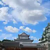 William Ng - @william.ng3 - TikTok