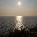 William Ngai - @william_ngai_0501 - Instagram