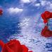 William Nickson - Facebook