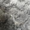 William Nico - @william.nick7 - TikTok