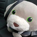 William Nicolas - @william.nicolas.05 - Instagram