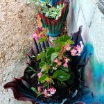 William Nieto - @william.nieto.9803 - Instagram