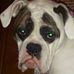 William Nipp - Facebook