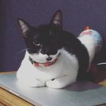 William - @williambannitz - Instagram