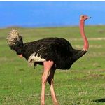 William Nivas - @williamnivas - Instagram