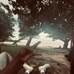 William Noel - Facebook