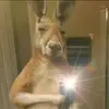 William Noh - @william.noh3 - TikTok