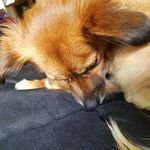 william noke - @william_noke - Instagram