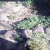 William Nokha - Facebook
