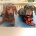 Timothy William Norcross - Facebook