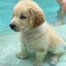 William Norfleet - Facebook