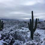 William Notbohm - @hey_you_too_too - Instagram