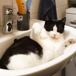 William - @william_nothing_else_main - Instagram