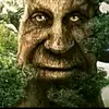 nott.william - @nott.william - TikTok