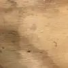 williamnunnally15 - @subjectedtorment - TikTok