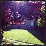 William Nutt - @settigni - Instagram