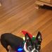 William Nutter - Facebook