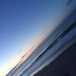 William - @williamoakland5 - Instagram