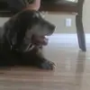 williamroberge16 - @williamroberge16 - TikTok