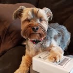 Oberst - @oberstwilliamwatson - Instagram