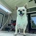 William Oberst - Facebook