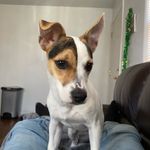 William_Odenthal - @w_o2.0 - Instagram
