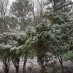 William Ogletree - @ogletreewilliam - Instagram