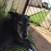 William_old - @william_old - TikTok