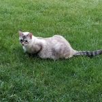 William Olson - @william.olson.395 - Instagram