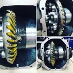 William Olson - @_william_olson_ - Instagram