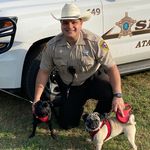 William Olson - @swolson62 - Instagram