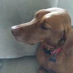 William O'Meara - @jomeara2644 - Instagram