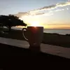 williamoneye - @williamoneye - TikTok