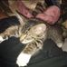 William Upperman - Facebook