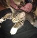 William Upperman - Facebook