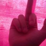 William Ormiston - @w.ormiston2010 - Instagram