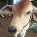 Williamorson L. Abon - Facebook