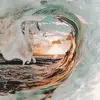 williamorth44 - @williamorth44 - TikTok