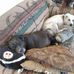 William Osmond - Facebook