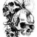 William Ostermann - Facebook