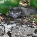 William Overbeck - Facebook