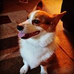 William Overby - @overbyw - Instagram