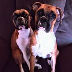 Kyle William Ownby - @kylewilliamownby - Instagram