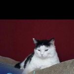 William Oxford - @sumaila_tofic - Instagram