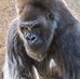 William Oechsner - Facebook