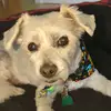 @williampais327 - @user7817334671850 - TikTok