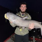 William Paiz - @willpaiz4 - Instagram