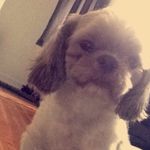 William G. Palermo - @willie.g.bish - Instagram
