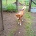 William Pantonial - Facebook