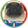 Willy Pardini - @willy.pardini - TikTok
